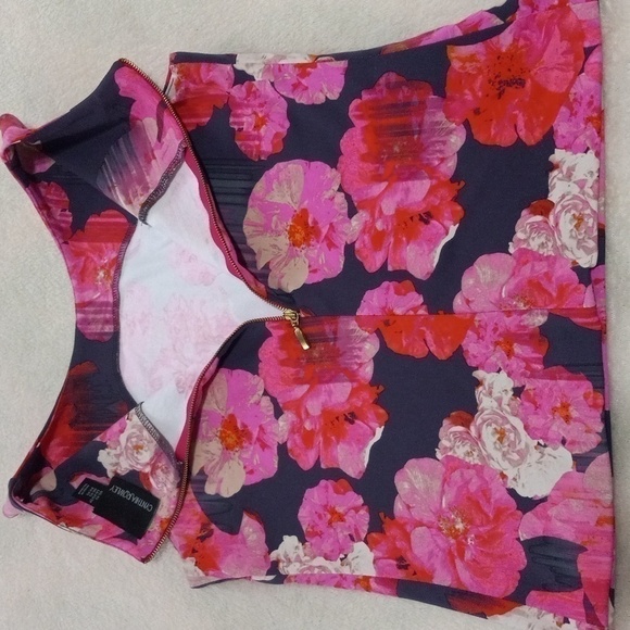 Cynthia Rowley Pink Floral Striped Scuba Bodycon Sleeveless Blouse - Picture 8 of 10